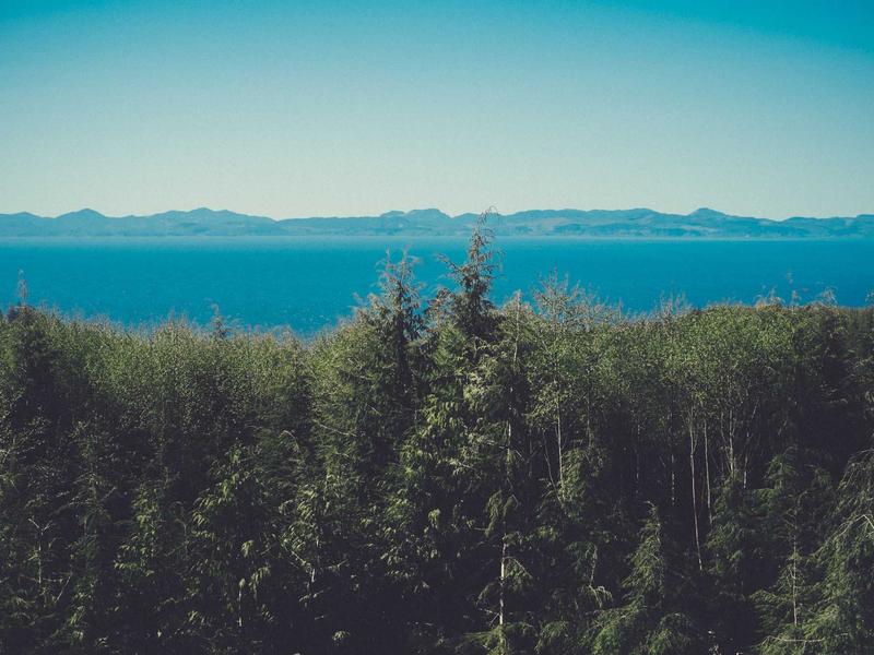 Berita Roiputra: Ciputra: Kisah Perjalanan Sang Bapak Properti Indonesia - Informasi Properti & Investasi Lampung