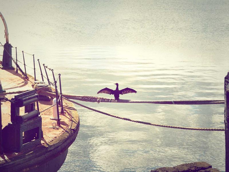 Berita Roiputra: Strategi Cuan: Peluang Investasi Properti di Dekat Kampus ITERA - Informasi Properti & Investasi Lampung